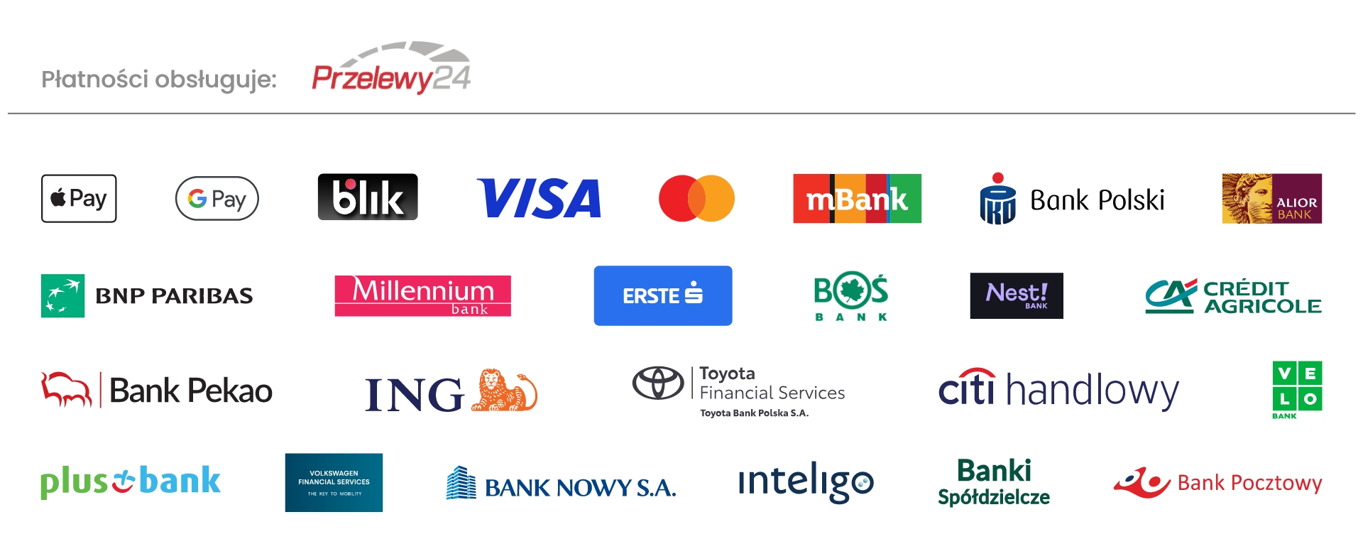 Płatności obsługuje Przelewy24 — BLIK, Visa, Mastercard, Apple Pay, Google Pay i przelewy bankowe